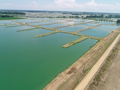 Welcome to Beasley Bayou Fish Farm in Isola. This 376-acre - photo 21