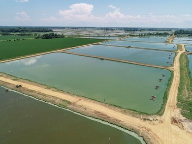 Welcome to Beasley Bayou Fish Farm in Isola. This 376-acre - photo 22