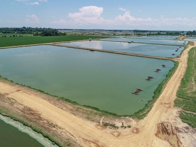 Welcome to Beasley Bayou Fish Farm in Isola. This 376-acre - photo 23