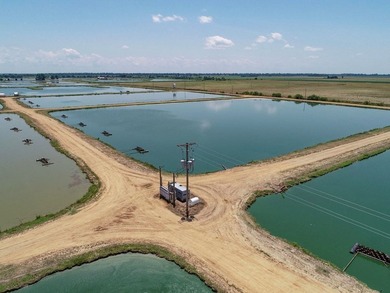 Welcome to Beasley Bayou Fish Farm in Isola. This 376-acre - photo 24