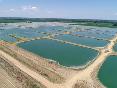 Welcome to Beasley Bayou Fish Farm in Isola. This 376-acre - photo 25