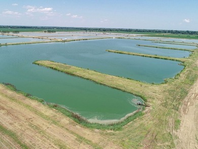 Welcome to Beasley Bayou Fish Farm in Isola. This 376-acre - photo 27