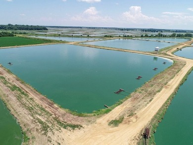 Welcome to Beasley Bayou Fish Farm in Isola. This 376-acre - photo 28