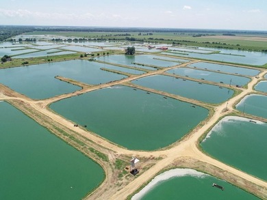 Welcome to Beasley Bayou Fish Farm in Isola. This 376-acre - photo 30