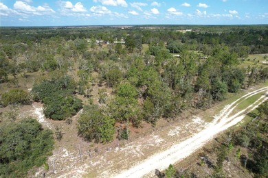 Bonable Lake Acreage For Sale in Dunnellon Florida