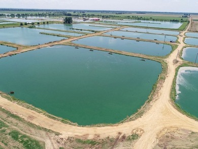 Welcome to Beasley Bayou Fish Farm in Isola. This 376-acre - photo 31
