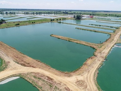 Welcome to Beasley Bayou Fish Farm in Isola. This 376-acre - photo 32