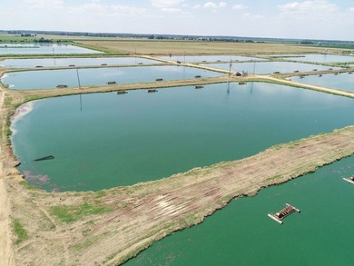 Welcome to Beasley Bayou Fish Farm in Isola. This 376-acre - photo 33