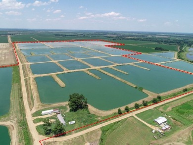 Welcome to Beasley Bayou Fish Farm in Isola. This 376-acre - photo 34