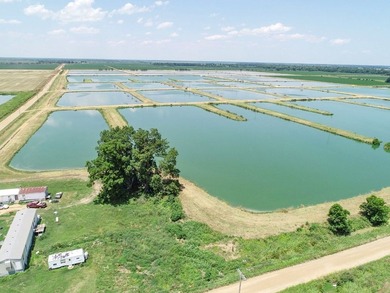 Welcome to Beasley Bayou Fish Farm in Isola. This 376-acre - photo 35