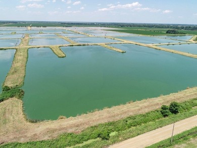Welcome to Beasley Bayou Fish Farm in Isola. This 376-acre - photo 36