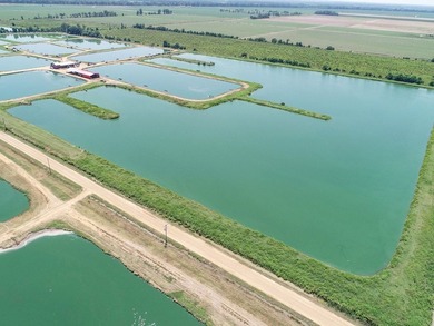 Welcome to Beasley Bayou Fish Farm in Isola. This 376-acre - photo 38