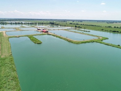Welcome to Beasley Bayou Fish Farm in Isola. This 376-acre - photo 39