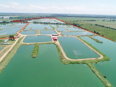Welcome to Beasley Bayou Fish Farm in Isola. This 376-acre - photo 40