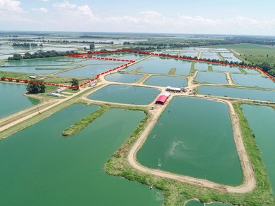 Welcome to Beasley Bayou Fish Farm in Isola. This 376-acre - photo 41