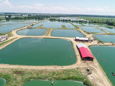 Welcome to Beasley Bayou Fish Farm in Isola. This 376-acre - photo 42