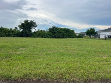 Great FRESHWATER CANAL Lot with SOUTHERN EXPOSURE. - Excellent - photo 3