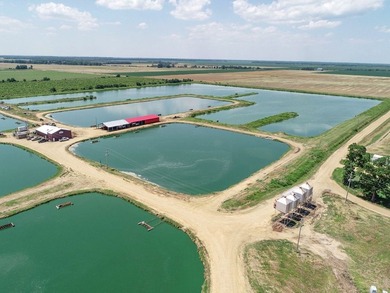Welcome to Beasley Bayou Fish Farm in Isola. This 376-acre - photo 43
