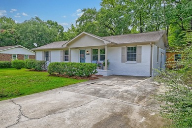 Beautifully renovated brick ranch home tucked away in the heart - photo 44