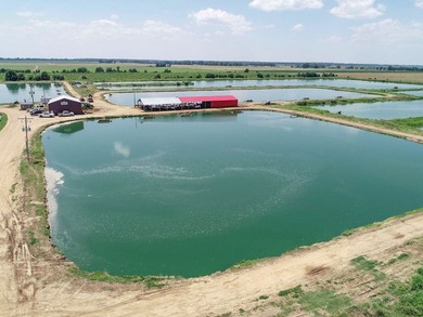 Welcome to Beasley Bayou Fish Farm in Isola. This 376-acre - photo 44