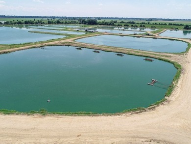 Welcome to Beasley Bayou Fish Farm in Isola. This 376-acre - photo 45