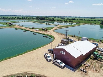 Welcome to Beasley Bayou Fish Farm in Isola. This 376-acre - photo 46