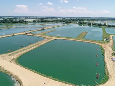 Welcome to Beasley Bayou Fish Farm in Isola. This 376-acre - photo 48