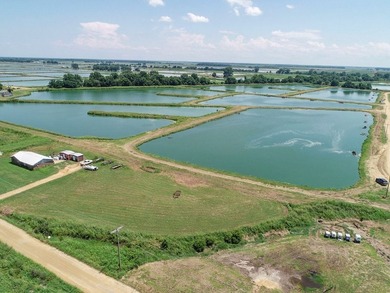 Welcome to Beasley Bayou Fish Farm in Isola. This 376-acre - photo 49