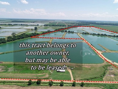 Welcome to Beasley Bayou Fish Farm in Isola. This 376-acre - photo 50