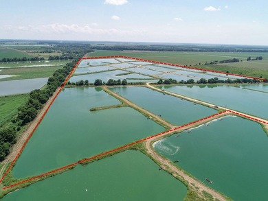Welcome to Beasley Bayou Fish Farm in Isola. This 376-acre - photo 51