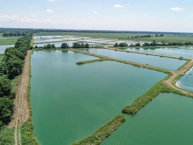 Welcome to Beasley Bayou Fish Farm in Isola. This 376-acre - photo 52