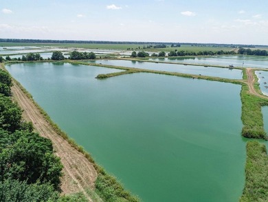 Welcome to Beasley Bayou Fish Farm in Isola. This 376-acre - photo 53