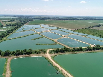 Welcome to Beasley Bayou Fish Farm in Isola. This 376-acre - photo 54