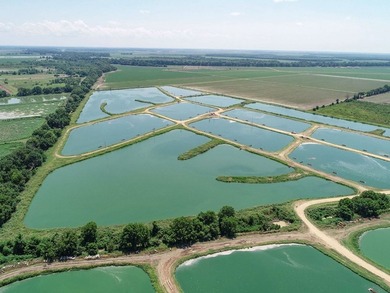 Welcome to Beasley Bayou Fish Farm in Isola. This 376-acre - photo 55