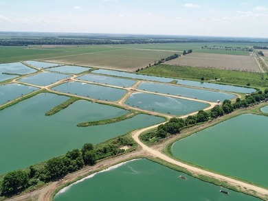 Welcome to Beasley Bayou Fish Farm in Isola. This 376-acre - photo 56