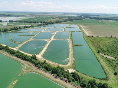 Welcome to Beasley Bayou Fish Farm in Isola. This 376-acre - photo 57