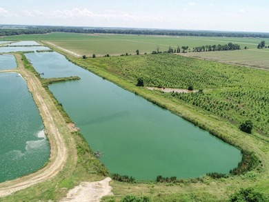 Welcome to Beasley Bayou Fish Farm in Isola. This 376-acre - photo 58