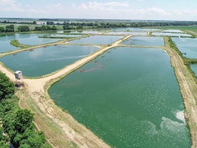 Welcome to Beasley Bayou Fish Farm in Isola. This 376-acre - photo 59