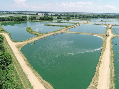 Welcome to Beasley Bayou Fish Farm in Isola. This 376-acre - photo 60