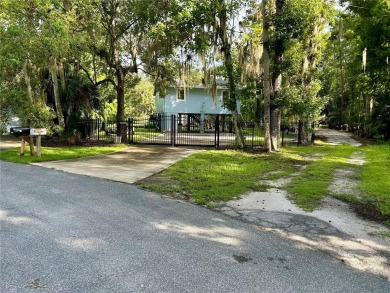 Lake Home For Sale in Astor, Florida