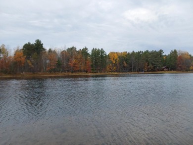 Lake Lot Sale Pending in Minocqua, Wisconsin