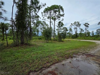 Lehigh Acres Area Lot For Sale in Lehigh Acres Florida