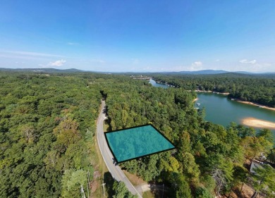 Lake Lot For Sale in Blairsville, Georgia