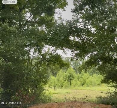 (private lake, pond, creek) Acreage For Sale in Crystal Springs Mississippi
