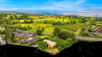 Home in Lower Kula on half-acre lot in a wonderful neighborhood - photo 5