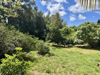 Home in Lower Kula on half-acre lot in a wonderful neighborhood - photo 7