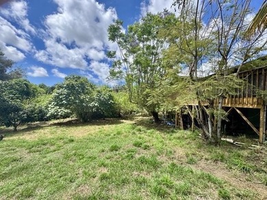 Home in Lower Kula on half-acre lot in a wonderful neighborhood - photo 9