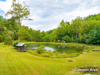 Lot 117 offers an incredible opportunity to own your own piece - photo 21