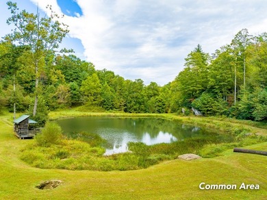 Lot 117 offers an incredible opportunity to own your own piece - photo 22