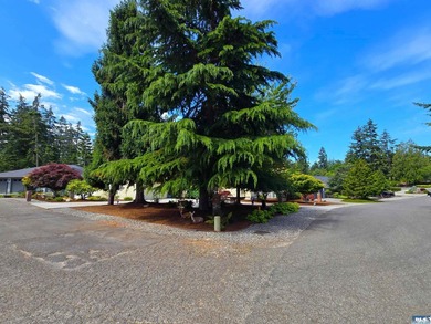 A perfect blend of space and community, this well maintained - photo 29
